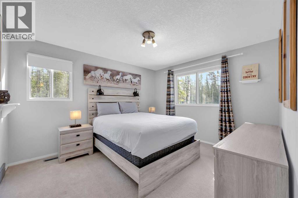 336207 Leisure Lake Drive W, Rural Foothills County, Alberta  T0L 1W2 - Photo 28 - A2295240