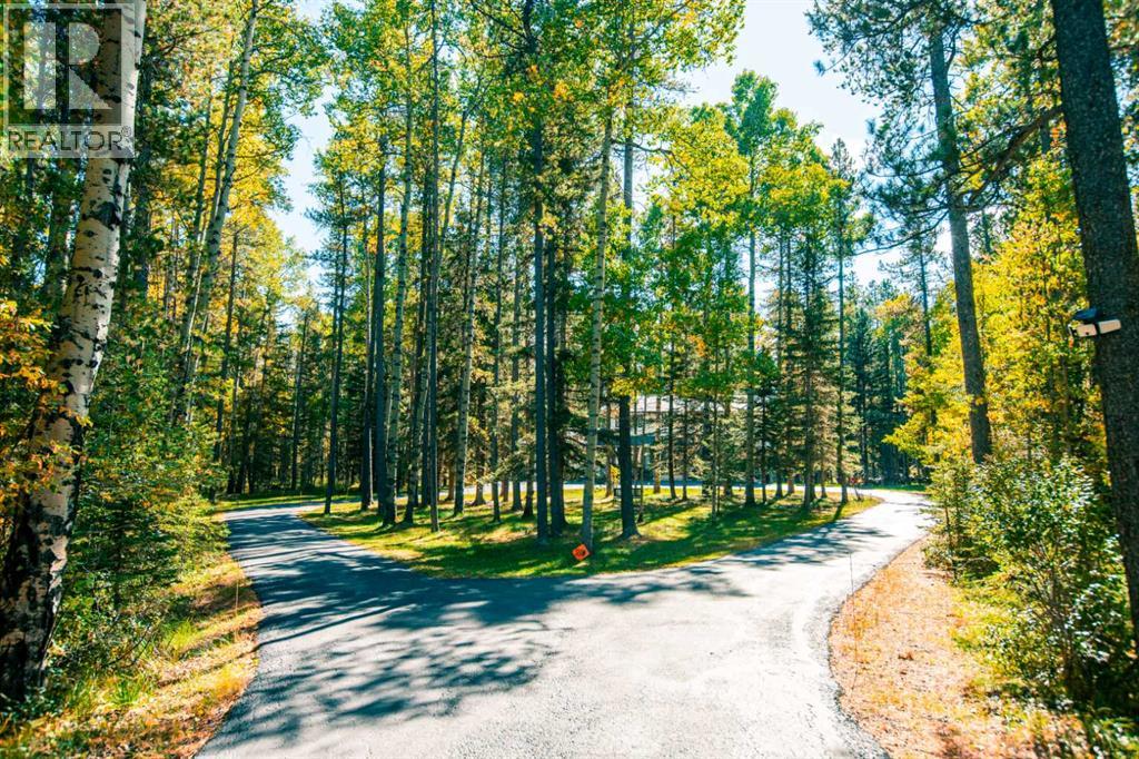 336207 Leisure Lake Drive W, Rural Foothills County, Alberta  T0L 1W2 - Photo 3 - A2295240