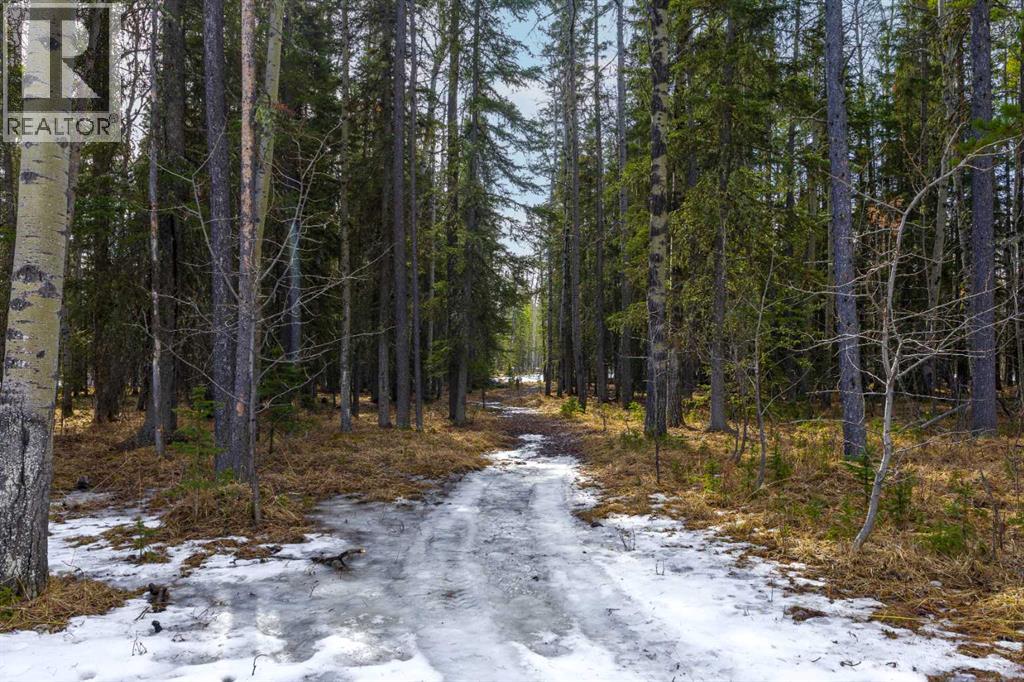 336207 Leisure Lake Drive W, Rural Foothills County, Alberta  T0L 1W2 - Photo 46 - A2295240