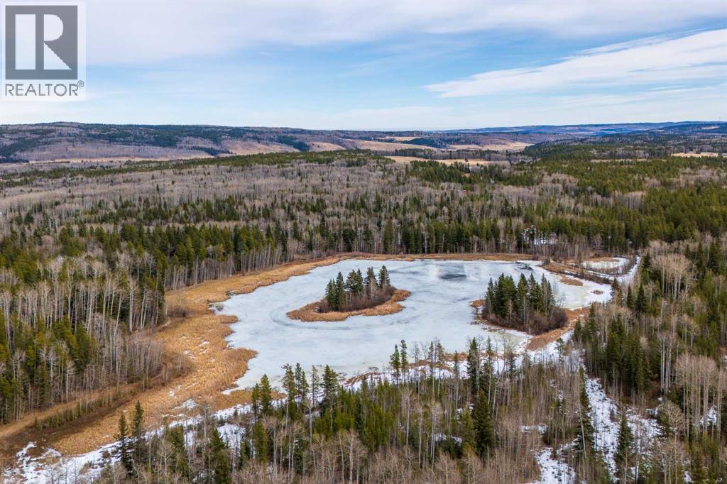 336207 Leisure Lake Drive W, Rural Foothills County, Alberta  T0L 1W2 - Photo 49 - A2295240