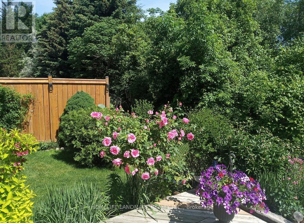 156 Pressed Brick Drive, Brampton, Ontario  L6V 4K6 - Photo 40 - W12898102