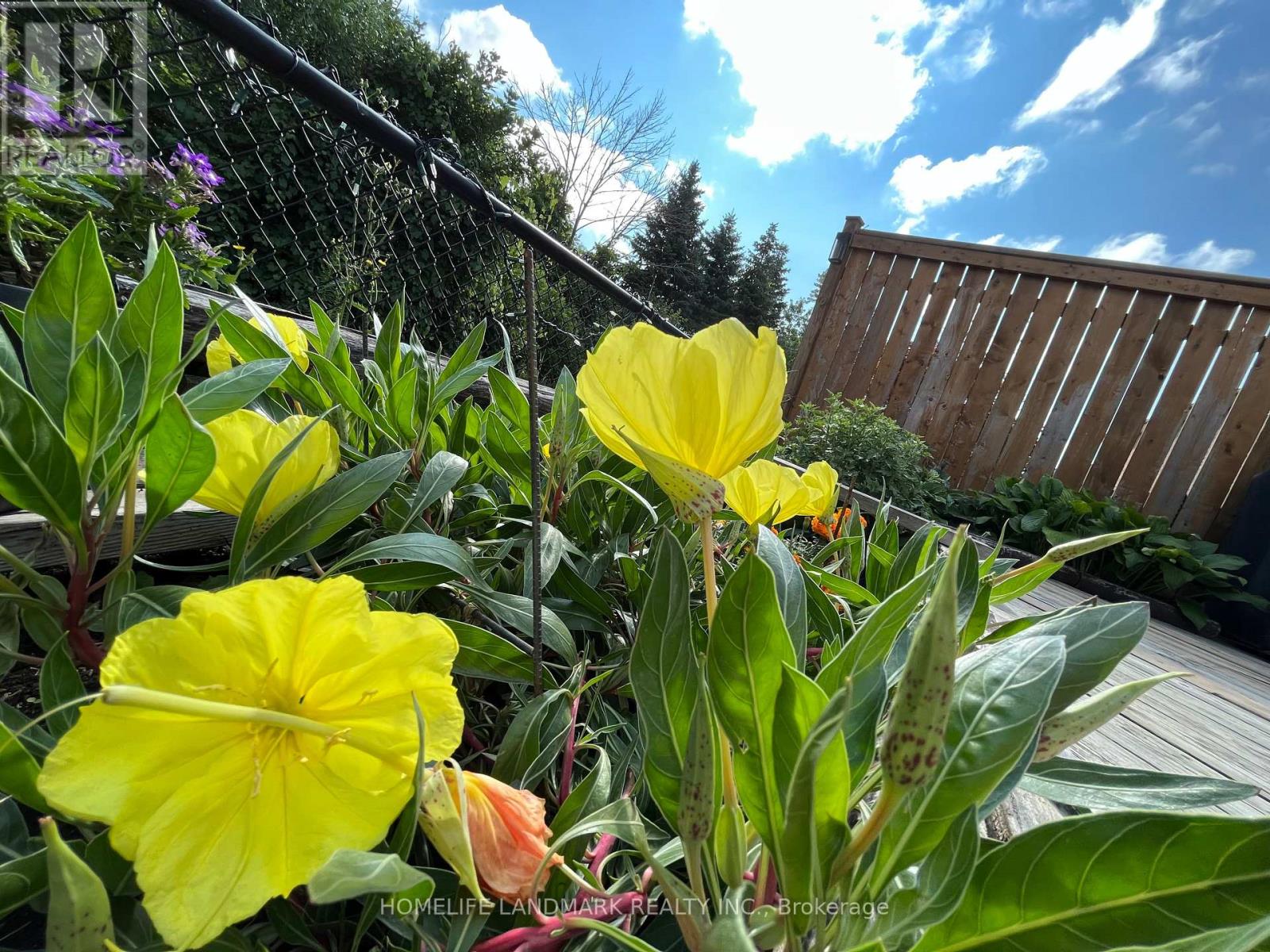 156 Pressed Brick Drive, Brampton, Ontario  L6V 4K6 - Photo 47 - W12898102