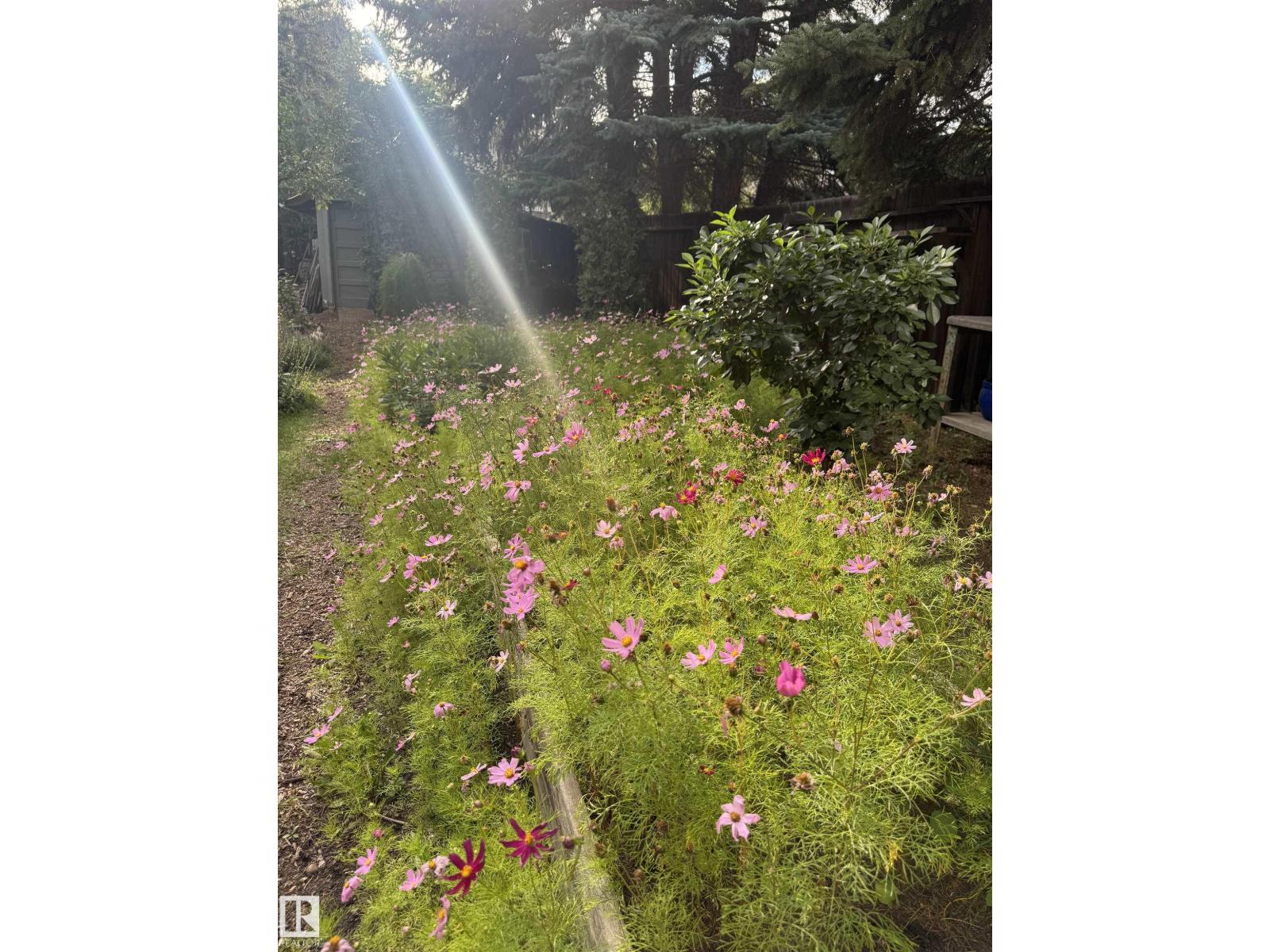 7024 105a St Nw, Edmonton, Alberta  T6H 2R5 - Photo 48 - E4478539