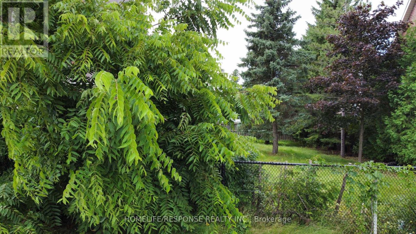 20 James Scott Road, Markham, Ontario  L3P 7X7 - Photo 7 - N12907118