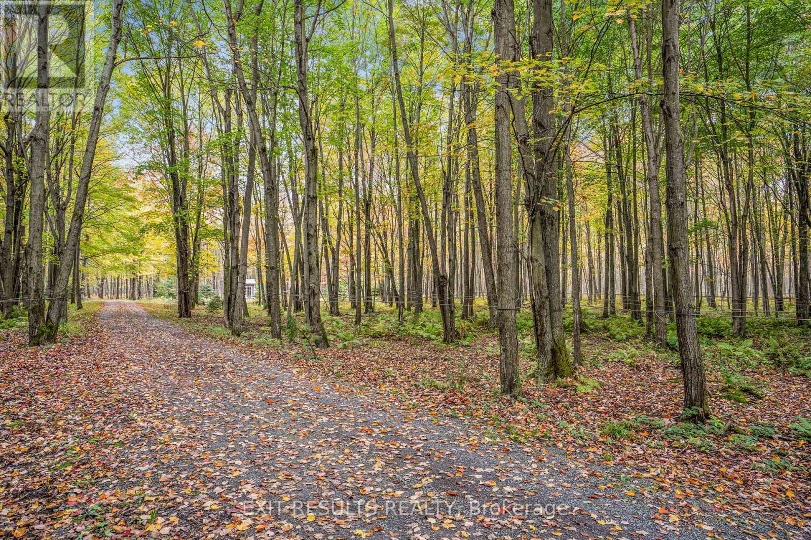 638 St Thomas Road W, Russell, Ontario  K0A 1W0 - Photo 26 - X12701706