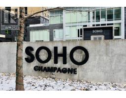 902 - 111 CHAMPAGNE AVENUE S, Ottawa, Ontario