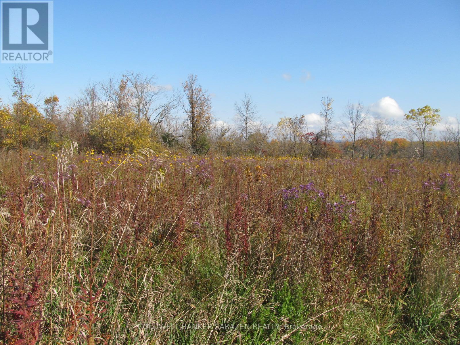 454 River Road, Mcnab/braeside, Ontario  K7S 3G8 - Photo 8 - X12907210