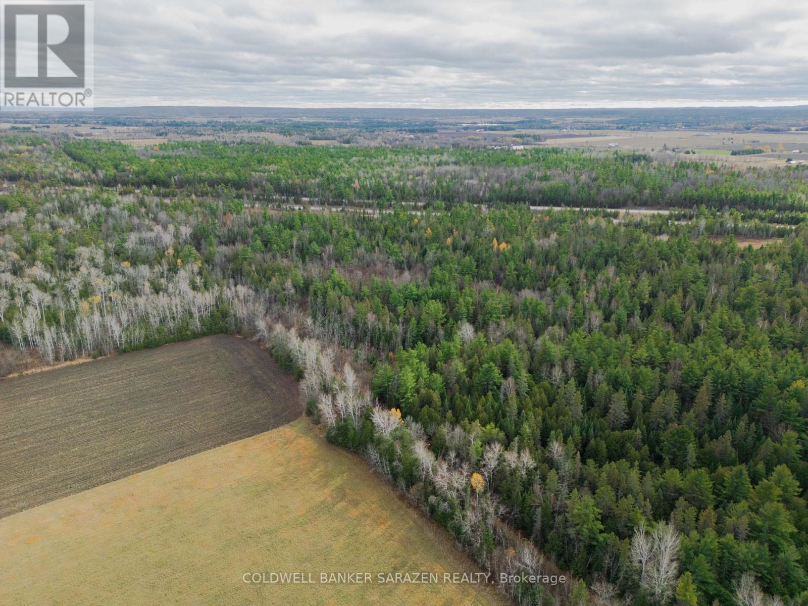 00 Scheel Drive, Mcnab/braeside, Ontario  K7S 3G8 - Photo 6 - X12907222