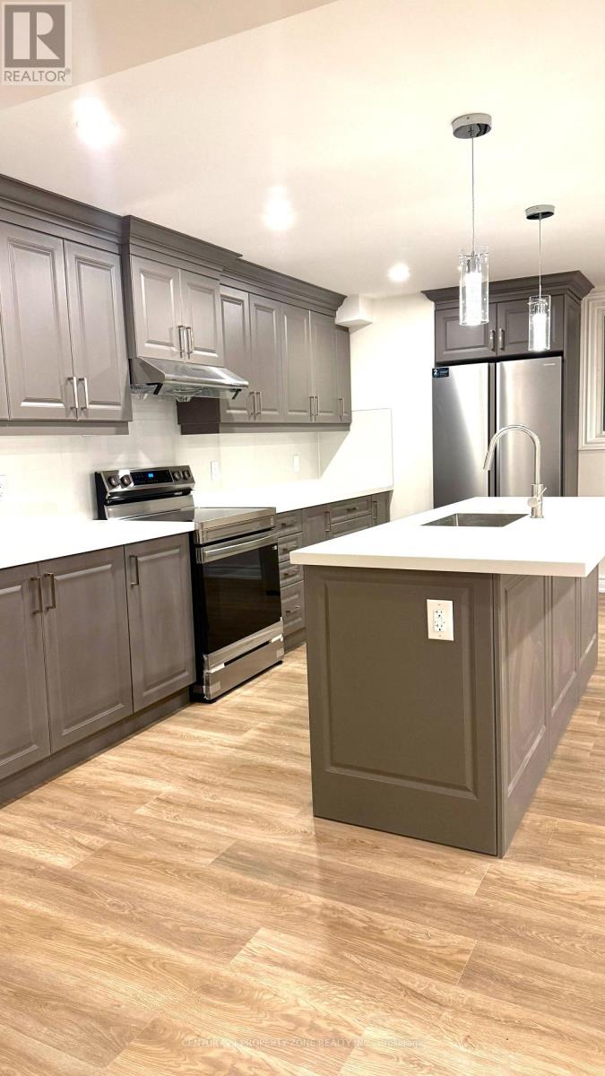 Bsmt - 9 Terrain Court, East Gwillimbury (Holland Landing), Ontario  L9N 0T2 - Photo 2 - N12907246