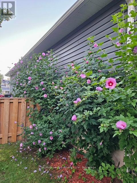 737 Green Street, Saugeen Shores, Ontario  N0H 2C4 - Photo 42 - X12907278