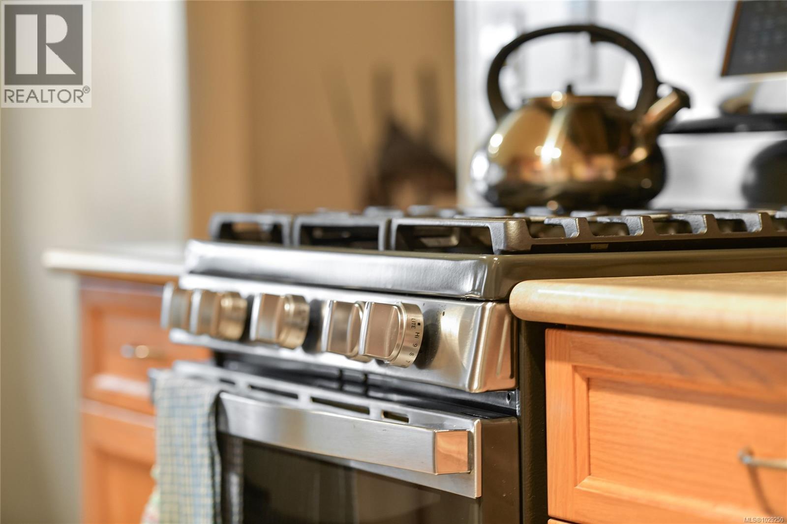 6670 Anzio Rd, Duncan, British Columbia  V9L 6C4 - Photo 27 - 1029250