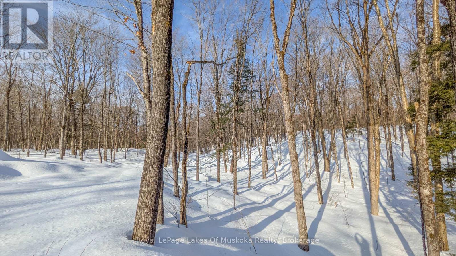 1100 Raymond Road, Muskoka Lakes, Ontario  P0B 1M0 - Photo 4 - X12854322