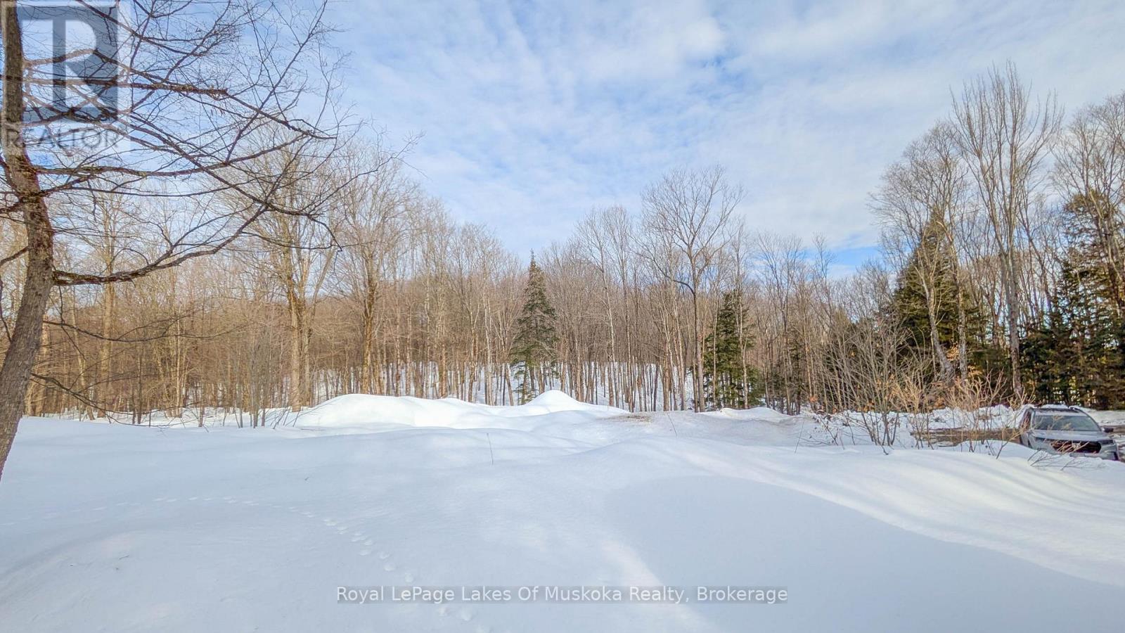 1100 Raymond Road, Muskoka Lakes, Ontario  P0B 1M0 - Photo 3 - X12854322