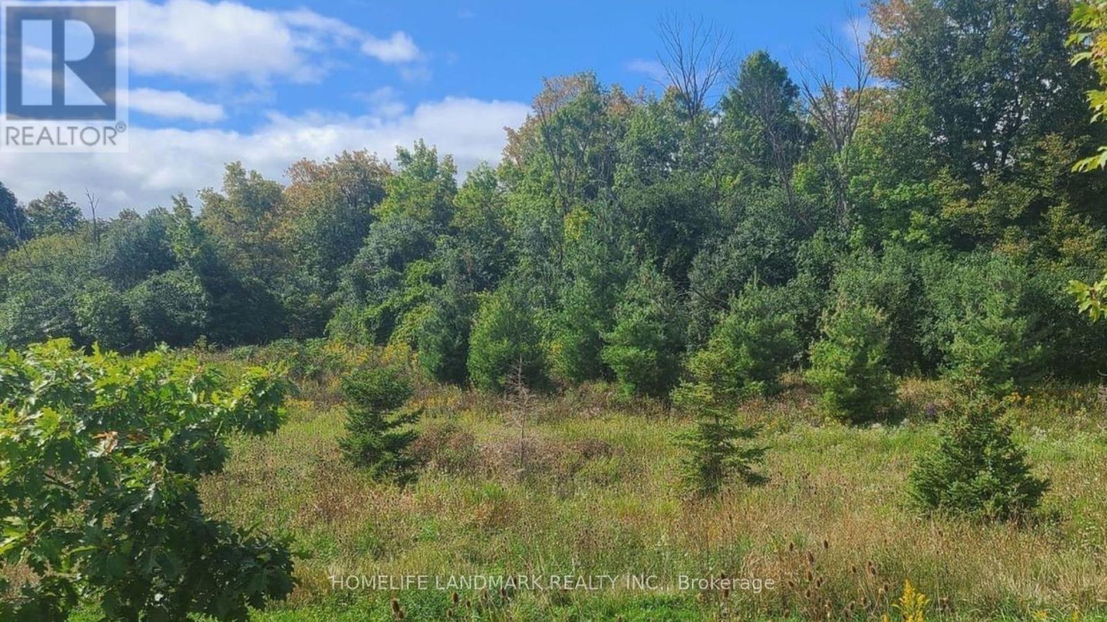 103 - 1 Beckenrose Court, Brampton (Bram West), Ontario  L6Y 6G2 - Photo 5 - W12907360