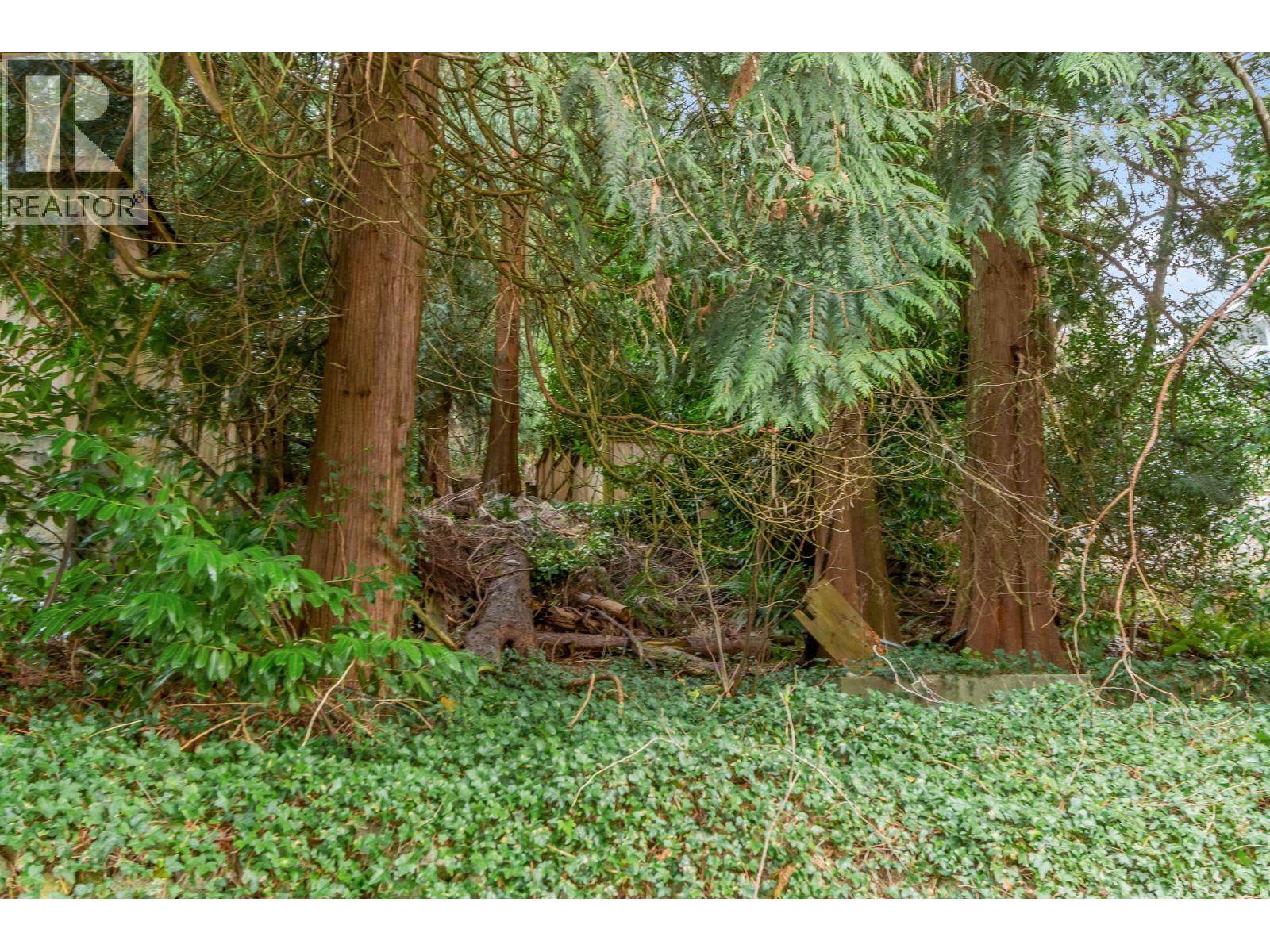 1928 Ridgeway Avenue, North Vancouver, British Columbia  V7L 3S7 - Photo 22 - R3100467