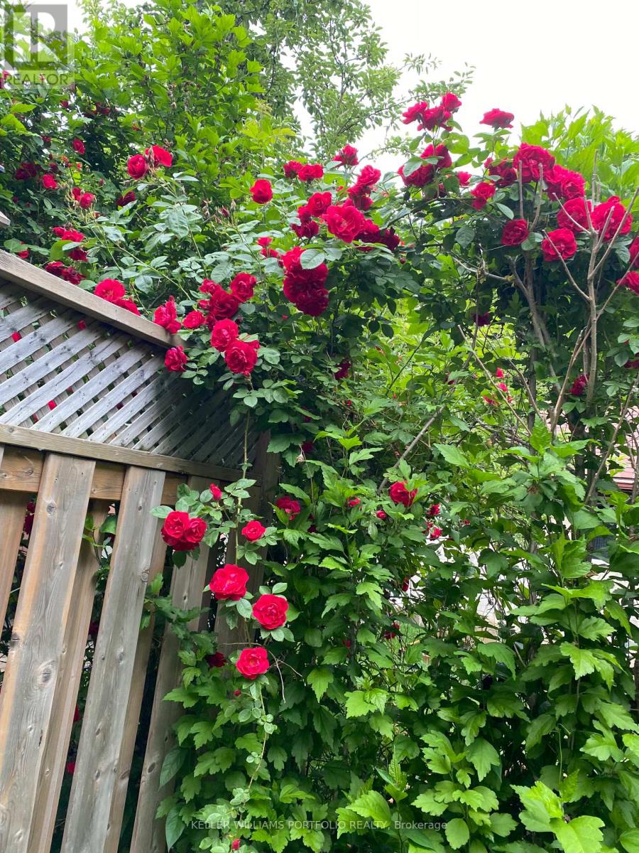 49 Dolphin Drive, Toronto, Ontario  M1L 1N5 - Photo 45 - E12899506