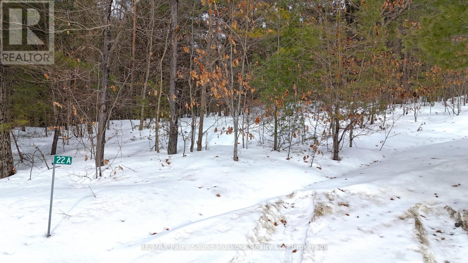 22a Lock Street, Seguin, Ontario  P0C 1J0 - Photo 11 - X12907554