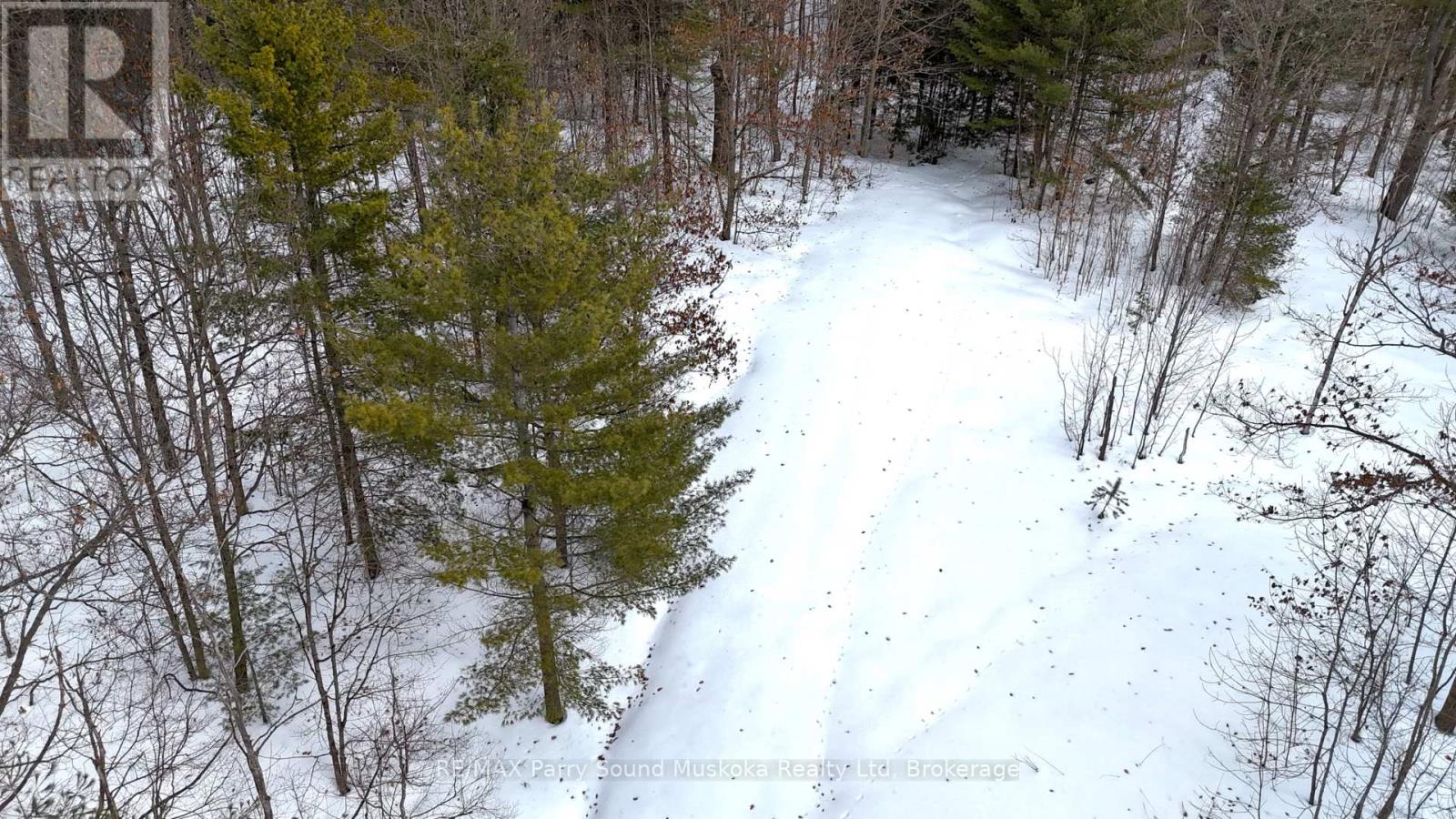 22a Lock Street, Seguin, Ontario  P0C 1J0 - Photo 13 - X12907554