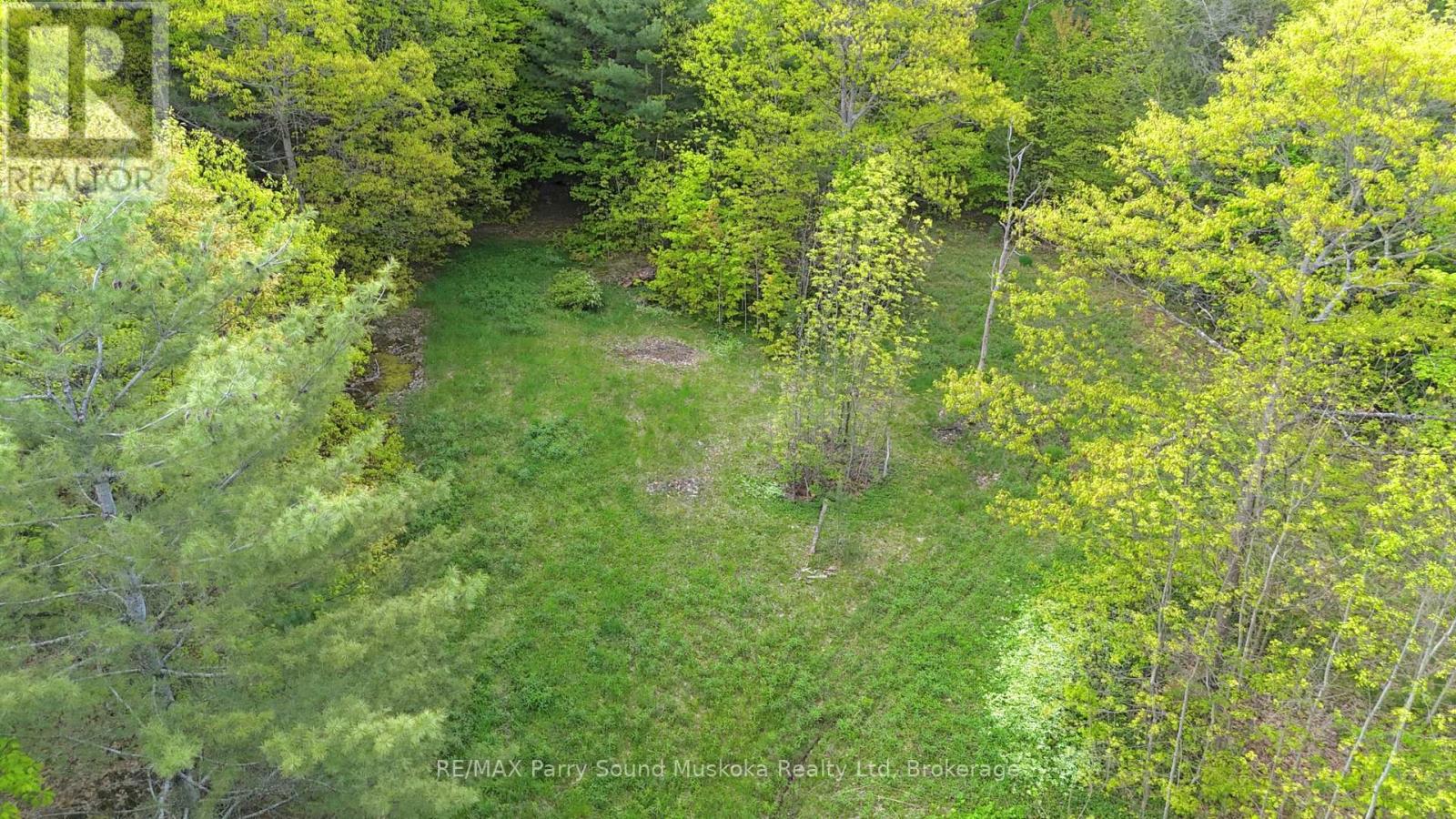 22a Lock Street, Seguin, Ontario  P0C 1J0 - Photo 2 - X12907554