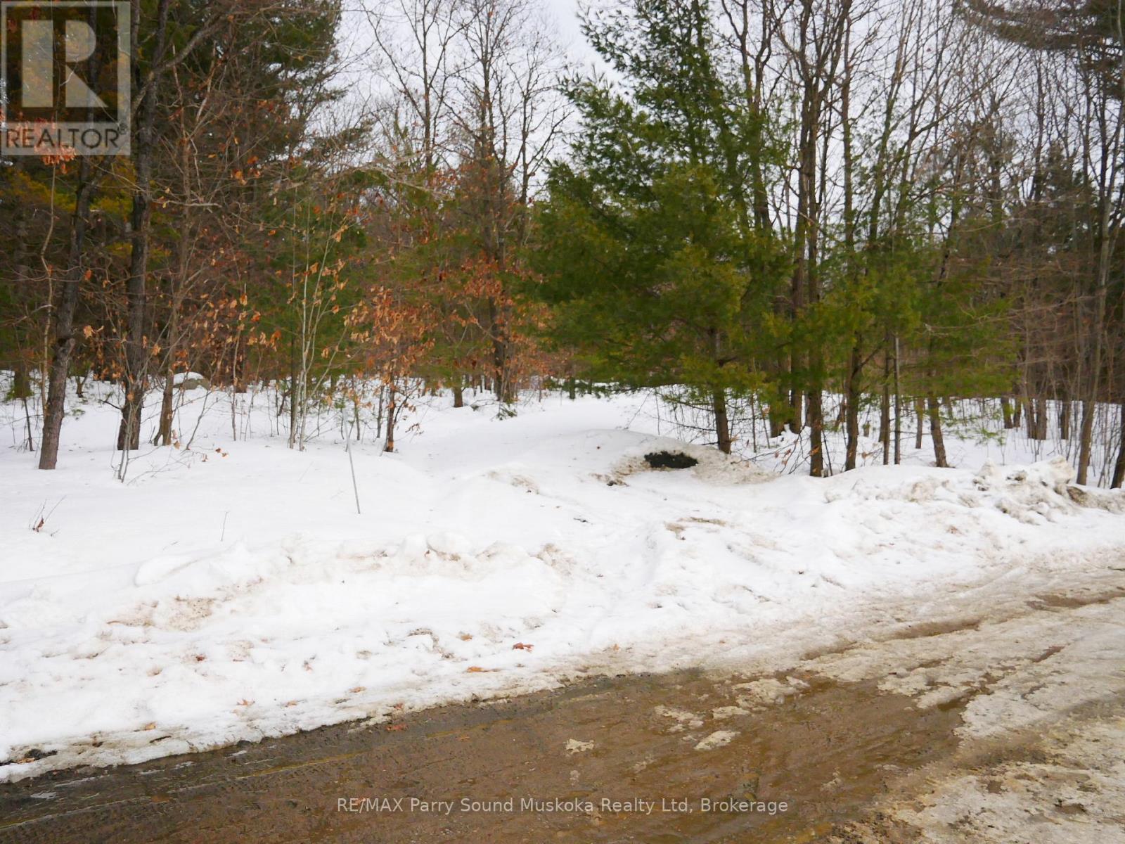 22a Lock Street, Seguin, Ontario  P0C 1J0 - Photo 32 - X12907554