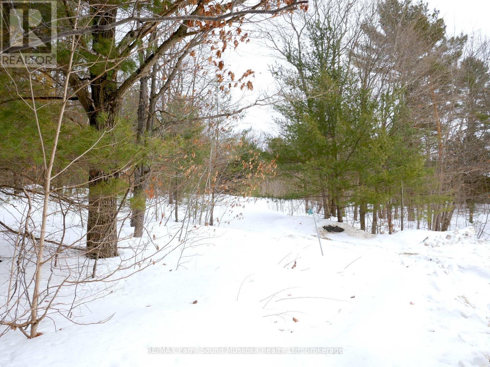 22a Lock Street, Seguin, Ontario  P0C 1J0 - Photo 33 - X12907554