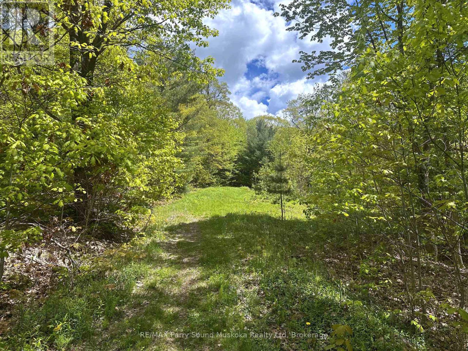 22a Lock Street, Seguin, Ontario  P0C 1J0 - Photo 4 - X12907554