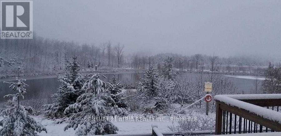 Basment - 429 Reeves Way Boulevard, Whitchurch-Stouffville, Ontario  L4A 0H2 - Photo 9 - N12907544