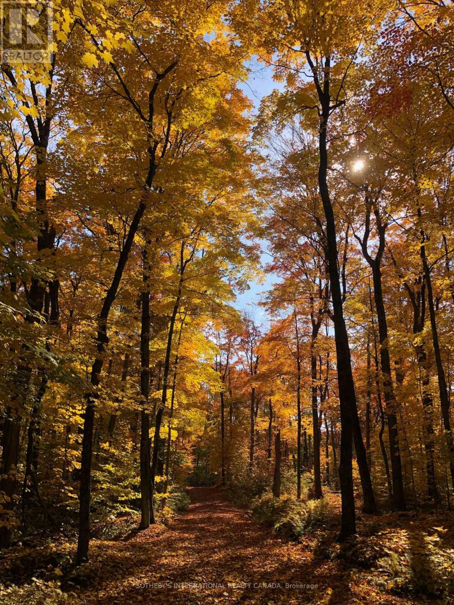 6 - 8091 Lake Joseph Road, Muskoka Lakes (Medora), Ontario  P0C 1H0 - Photo 32 - X12905390