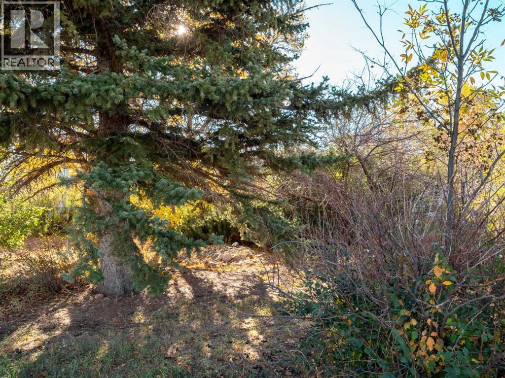 404 5 Avenue, Warner, Alberta  T0K 2L0 - Photo 40 - A2262391