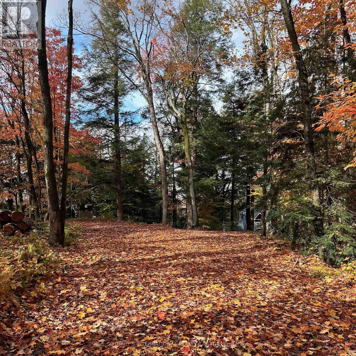 6 - 8091 Lake Joseph Road, Muskoka Lakes (Medora), Ontario  P0C 1H0 - Photo 42 - X12905390