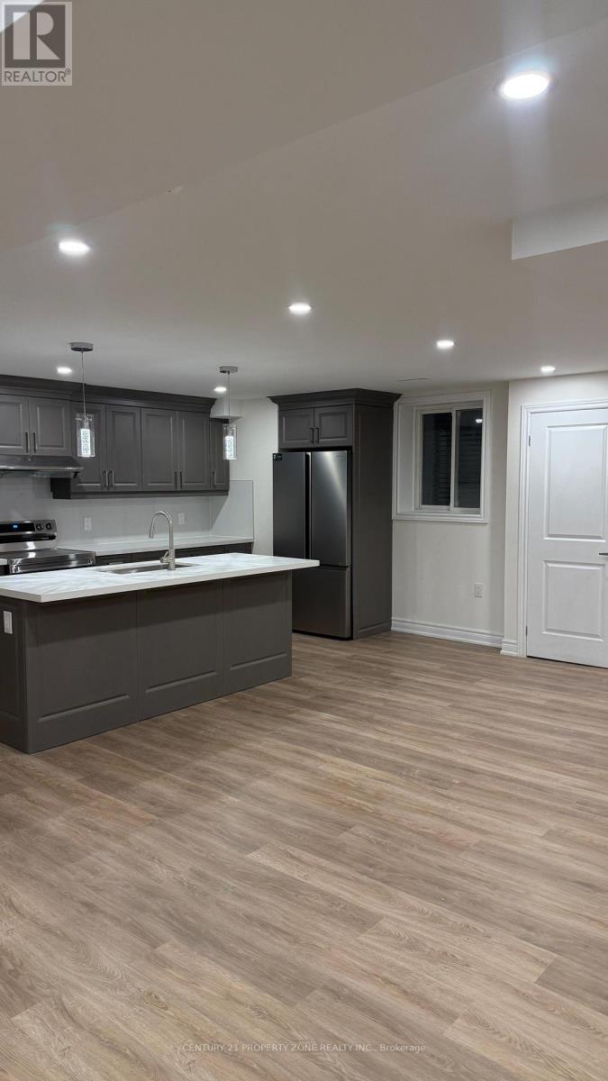 Bsmt - 9 Terrain Court, East Gwillimbury, Ontario  L9N 0T2 - Photo 3 - N12907246