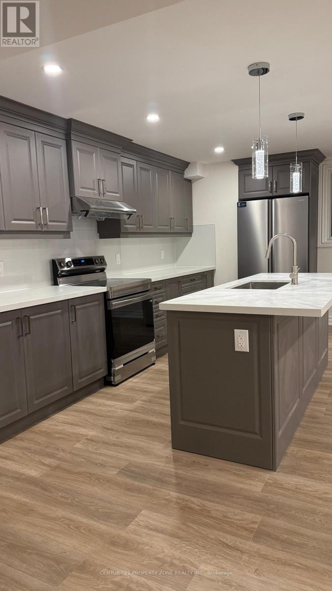 Bsmt - 9 Terrain Court, East Gwillimbury, Ontario  L9N 0T2 - Photo 4 - N12907246