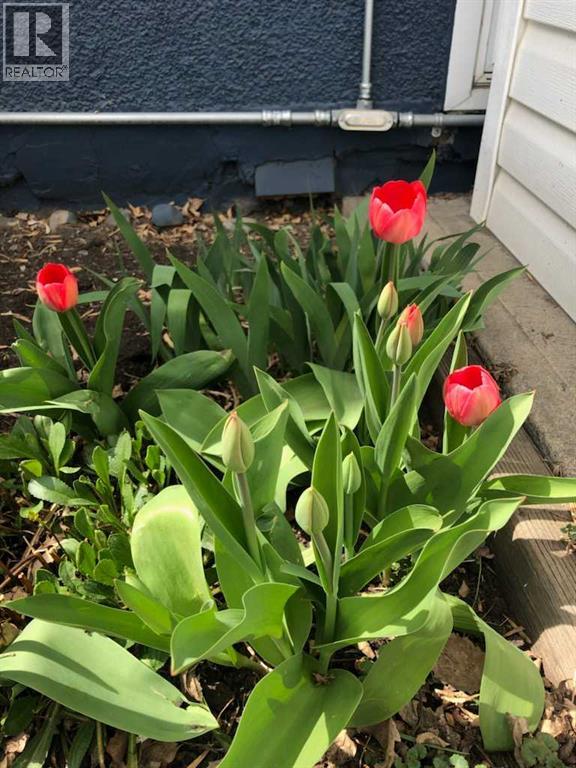 21, 251 90 Avenue SE, Calgary, Alberta  T2J 0A4 - Photo 20 - A2294356