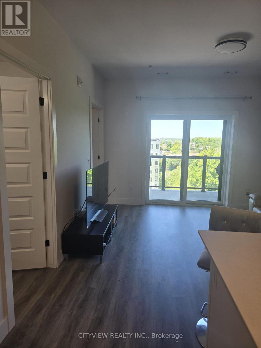 609 - 1000 Lackner Pl Place, Kitchener, Ontario  N2A 0L9 - Photo 7 - X12907668