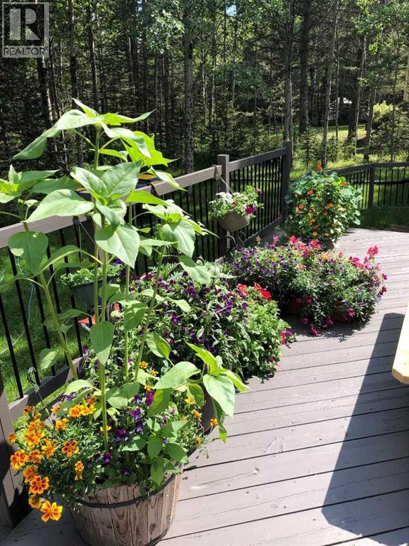 51 Manyhorses Drive, Rural Rocky View County, Alberta  T3Z 1A2 - Photo 10 - A2273481