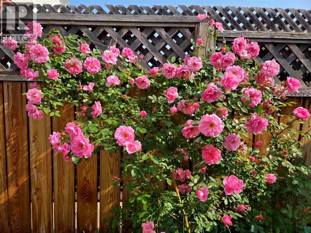 232 Millbank Drive Sw, Calgary, Alberta  T2Y 2H8 - Photo 49 - A2294156