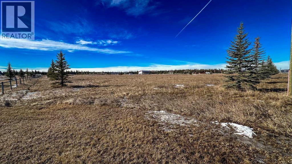 20, 6115 Township Road 325, Rural Mountain View County, Alberta  T0M 1X0 - Photo 17 - A2295244