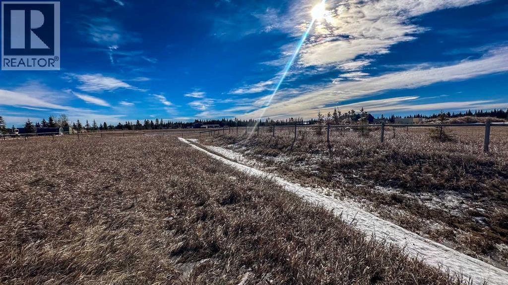 20, 6115 Township Road 325, Rural Mountain View County, Alberta  T0M 1X0 - Photo 23 - A2295244