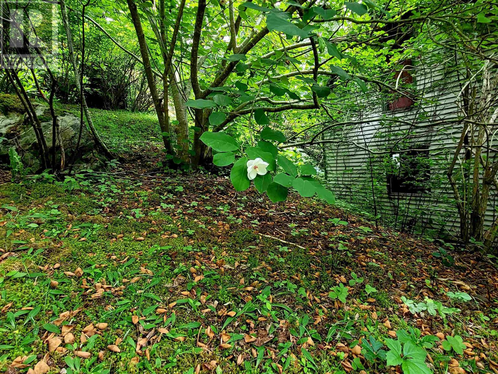 221 Highway 8, Milton, Nova Scotia  B0T 1P0 - Photo 35 - 202518234