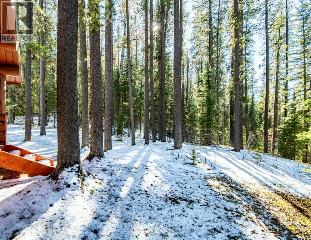 72004 Twp 35-2 Road, Caroline, Alberta  T0M 0M0 - Photo 33 - A2274191