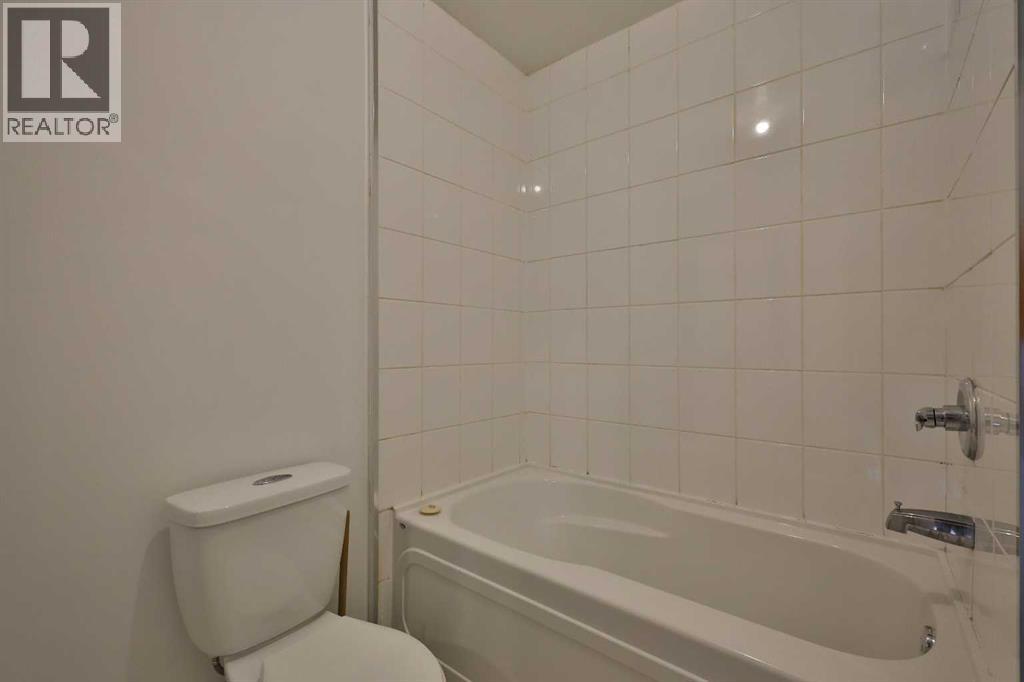 55046 Rr 21-1, Raymond, Alberta  T0K 2S0 - Photo 29 - A2294753