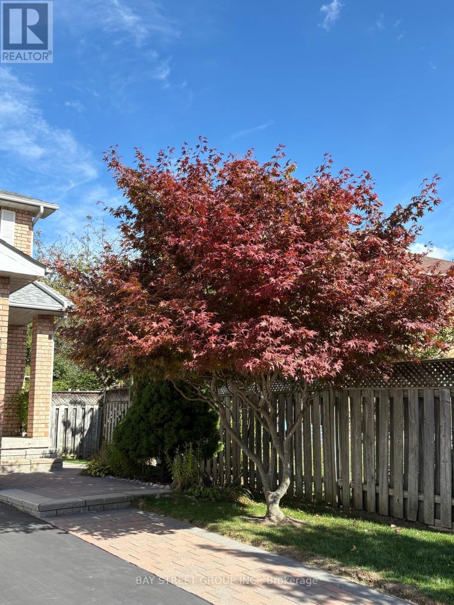 80 Summitcrest Drive, Richmond Hill, Ontario  L4S 1A8 - Photo 43 - N12907842