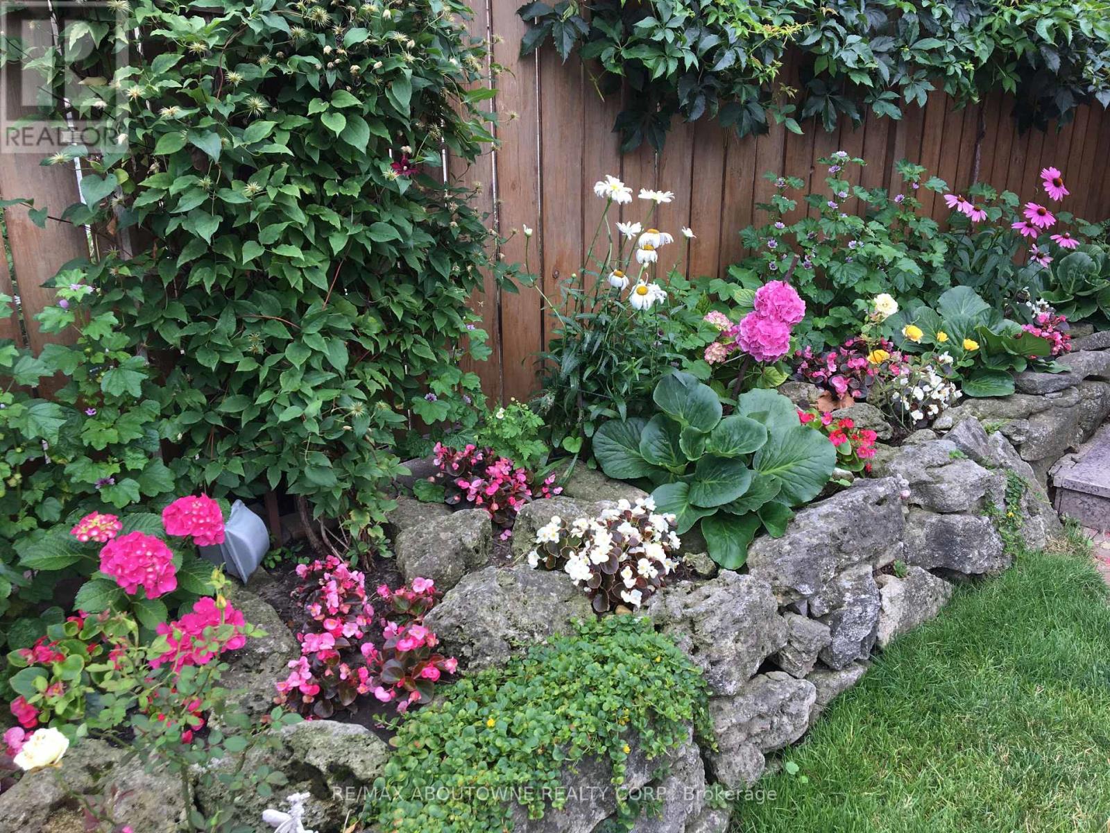 17 Duffield Road, Toronto, Ontario  M9P 3C8 - Photo 34 - W12907904