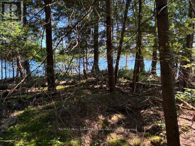 5993 Highway #124 Highway, Magnetawan, Ontario  P0A 1A0 - Photo 6 - X12894852