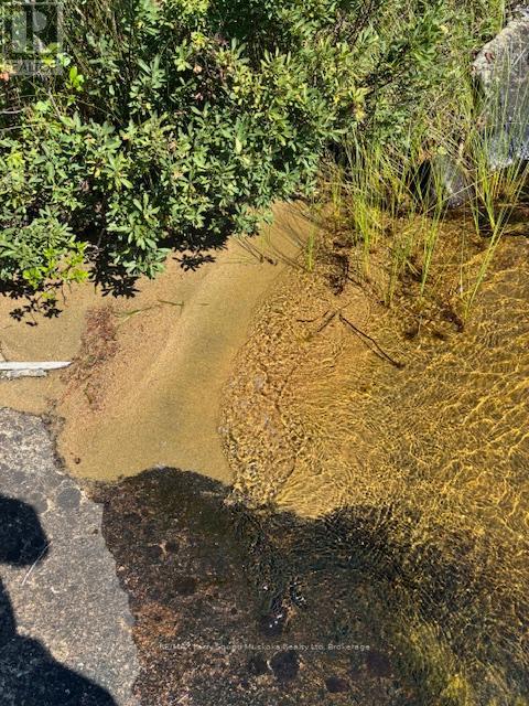 5993 Highway #124 Highway, Magnetawan, Ontario  P0A 1A0 - Photo 7 - X12894852