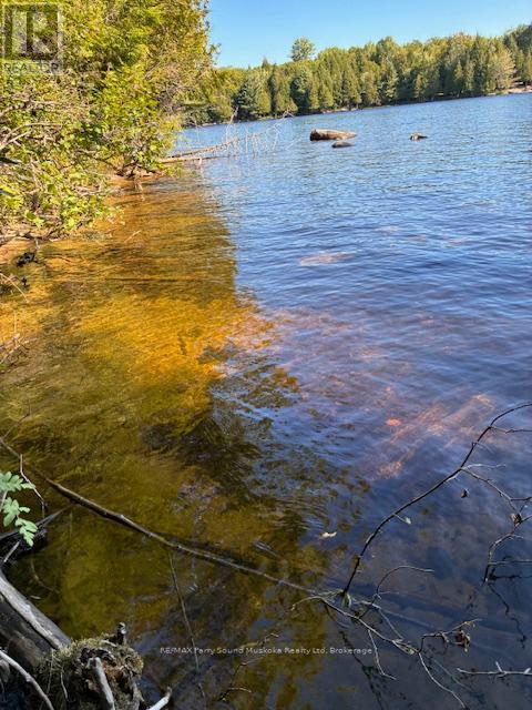 5993 Highway #124 Highway, Magnetawan, Ontario  P0A 1A0 - Photo 5 - X12894852