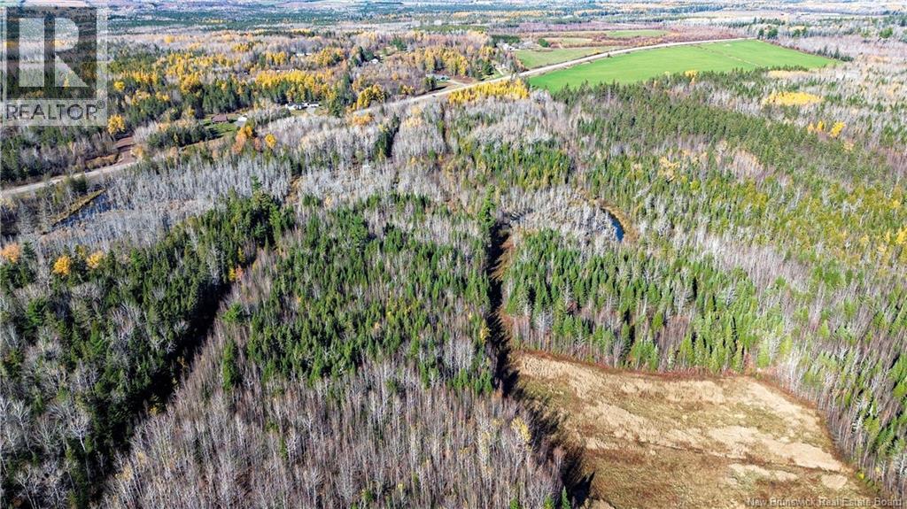 Lot Homestead Road, Salisbury, New Brunswick  O0O 0O0 - Photo 10 - NB135566