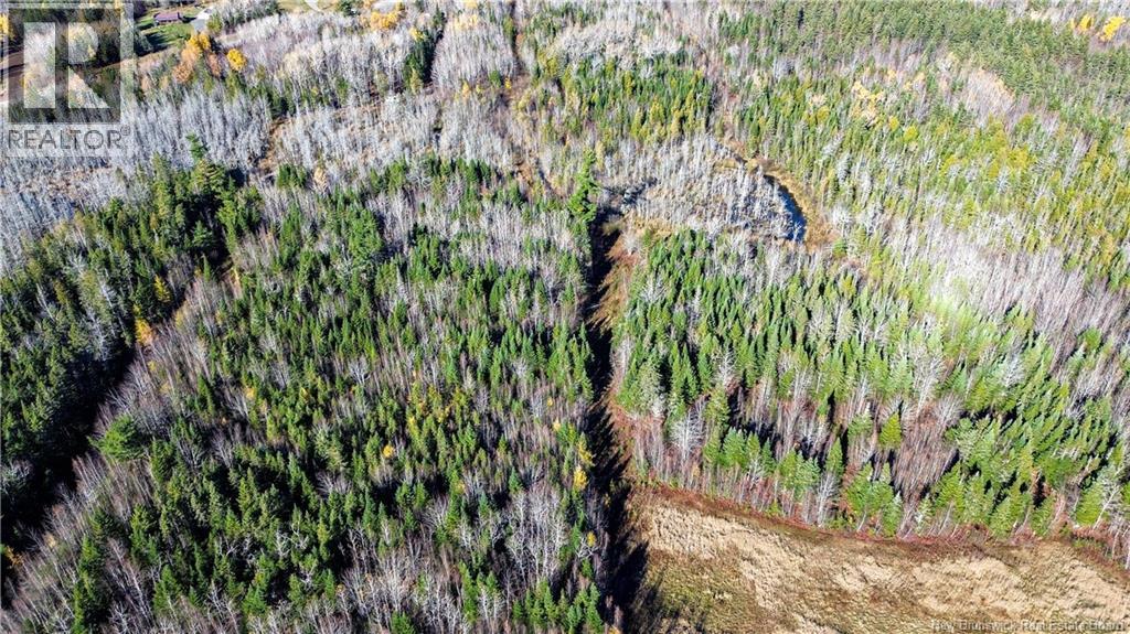 Lot Homestead Road, Salisbury, New Brunswick  O0O 0O0 - Photo 11 - NB135566