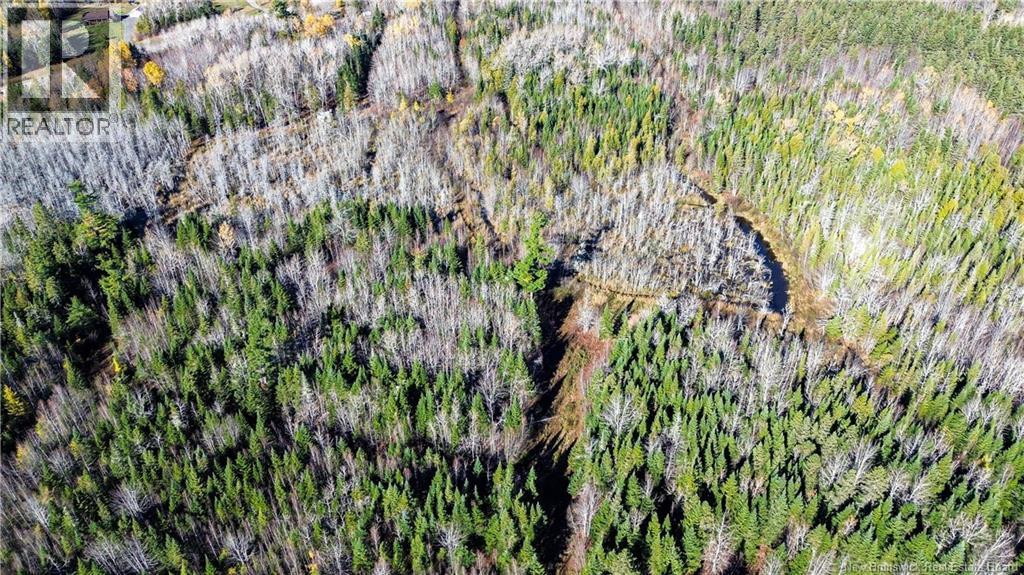 Lot Homestead Road, Salisbury, New Brunswick  O0O 0O0 - Photo 12 - NB135566
