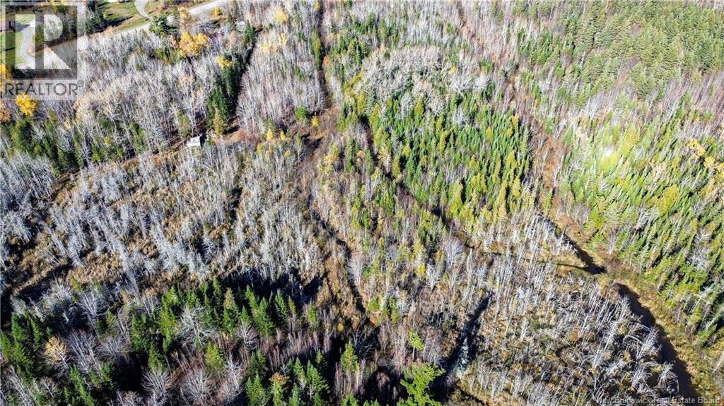 Lot Homestead Road, Salisbury, New Brunswick  O0O 0O0 - Photo 13 - NB135566